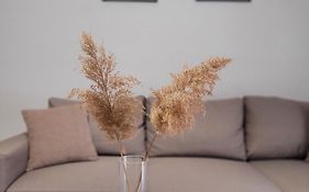 Center River Apartment